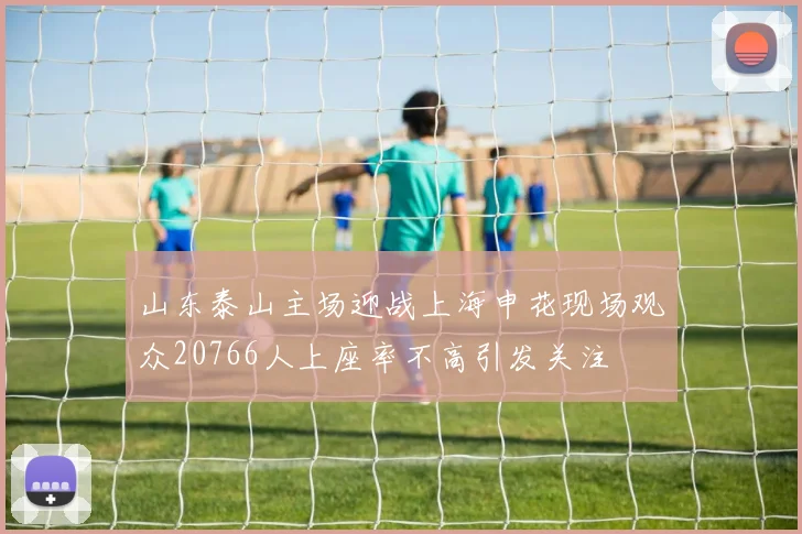 山东泰山主场迎战上海申花现场观众20766人上座率不高引发关注